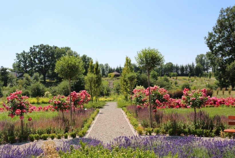 Silesian Botanical Garden, Mikołów, Poland, Poland